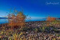 1049250_Bodensee_Herbst_JMW