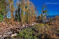 1049261_Bodensee_Herbst_JMW